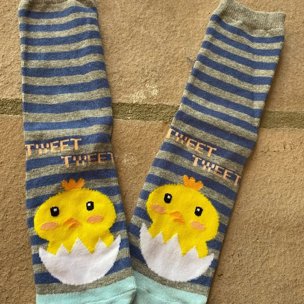 Graphic Women's socks size 5-9 cute socks Ducks